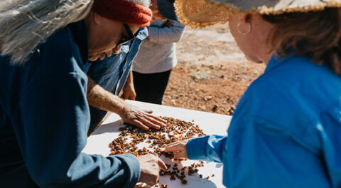 gem fossicking tours victoria